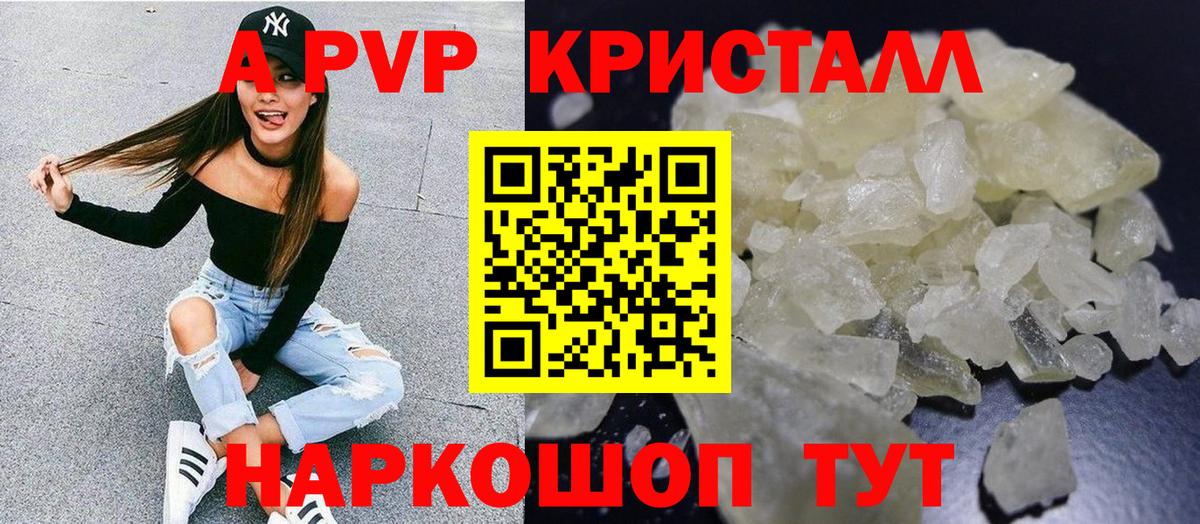 Альфа ПВП СК КРИС Кандалакша