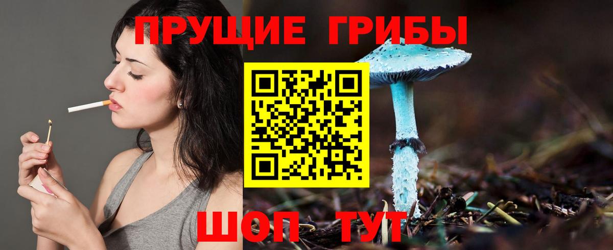 Галлюциногенные грибы мухоморы  Псилоцибиновые грибы мицелий  Вход с VPN  Кандалакша 